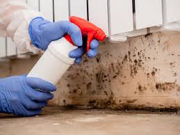 Biohazard Mold Removal in Roodhouse, IL